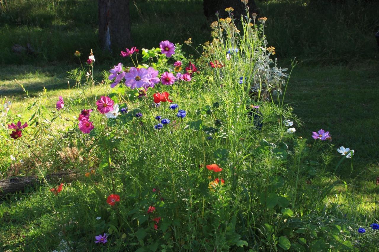 Bed and Breakfast Souslens, Castaignos-Souslens 40 Esterno foto